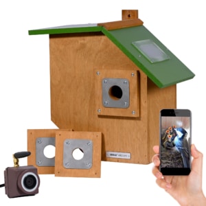 Flachdach-Nistkasten inklusive WiFi Wildkamera und kostenloser App zur Vogelbeobachtung